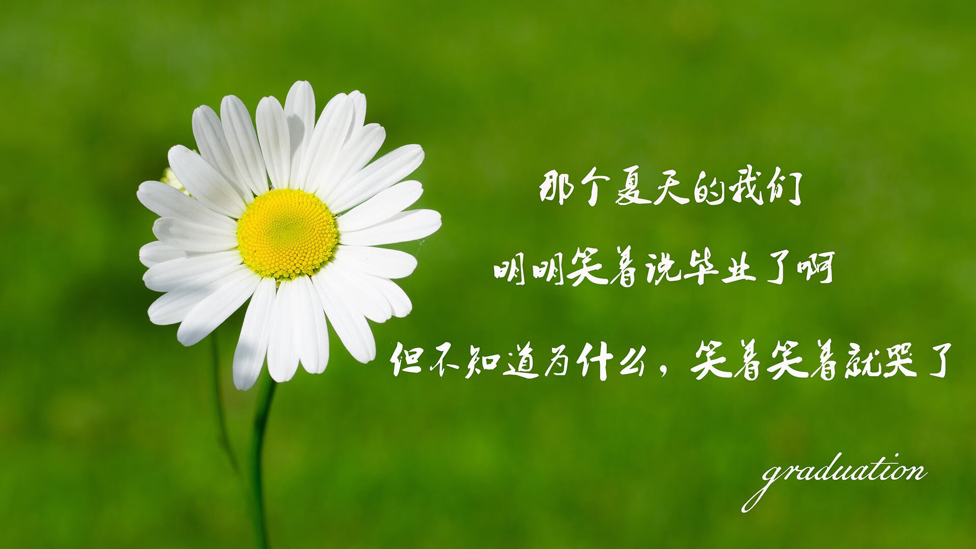 城市健身服务智能导航平台功能设计与优化，智能健身路径