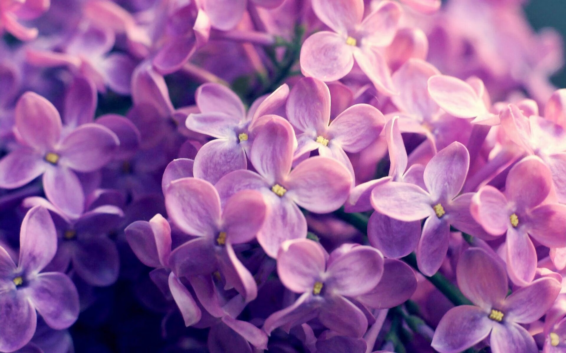 花样滑冰技术动作不断创新,花样滑冰滑行技术