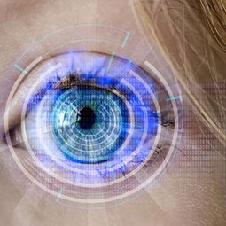 开云体育网页版-训练负荷科学监测，训练负荷诊断