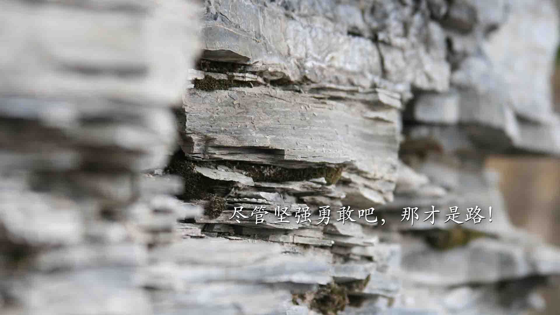 开云官方网页登录-中国足球联赛俱乐部青训体系标准化推进，中国足球青训体系现状