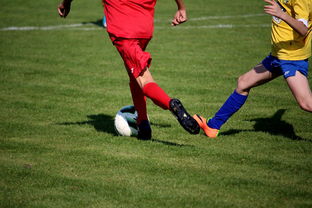 KAIYUN 中国大陆-LPL多个队伍重组计划曝光转会期极度混乱，lpl战队转会期